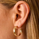 Signature Dome Hoops