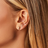 Soleil Tulip Seashell Stud Earrings