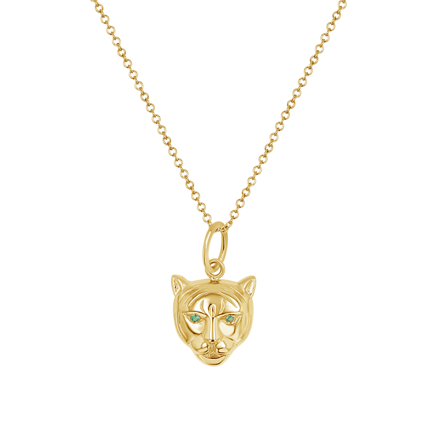 Protective Tiger Charm - Image 5