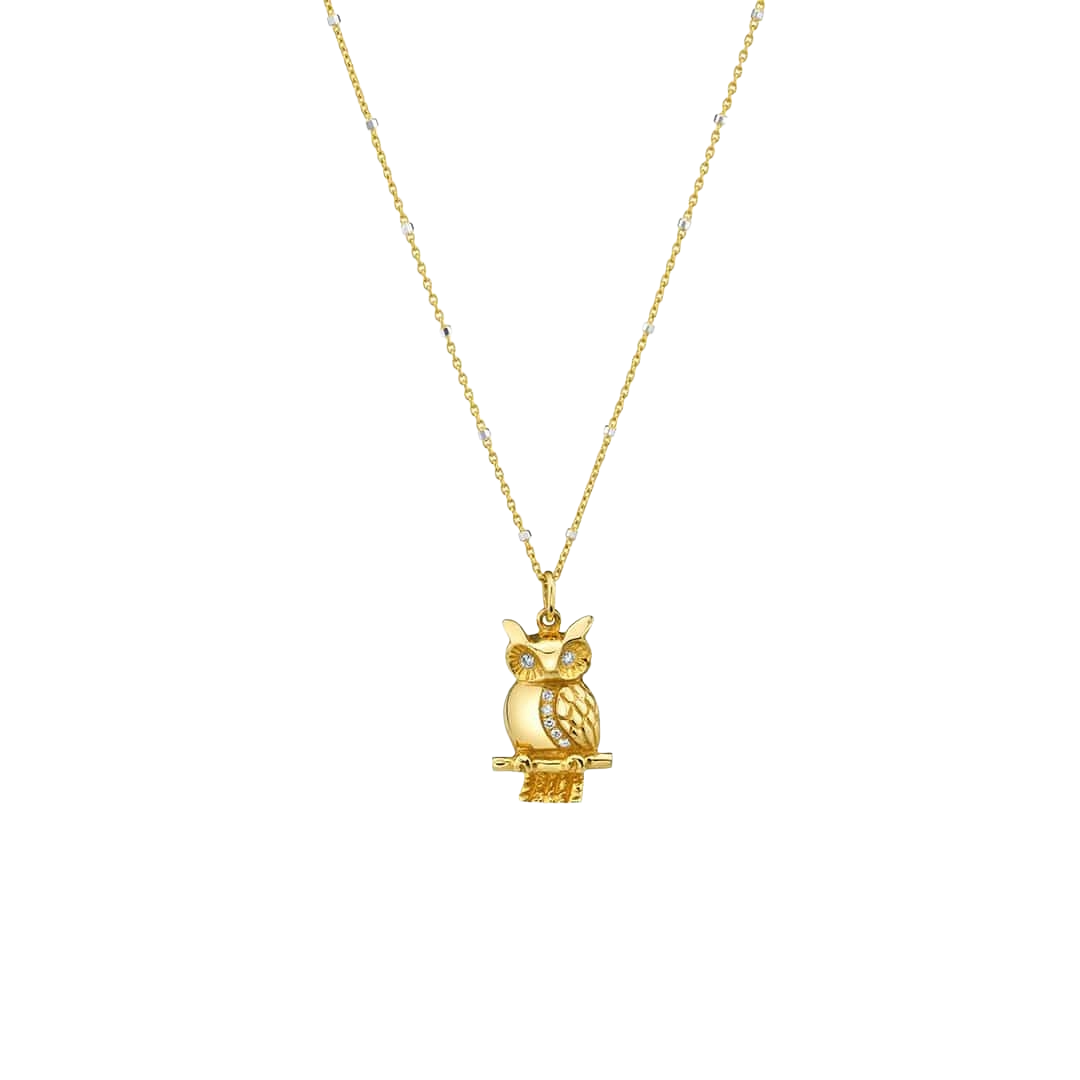 Moyen Owl Necklace