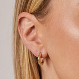 Two Faced Thick Tube Hoops