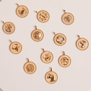 Zodiac Coin Medallion Necklace