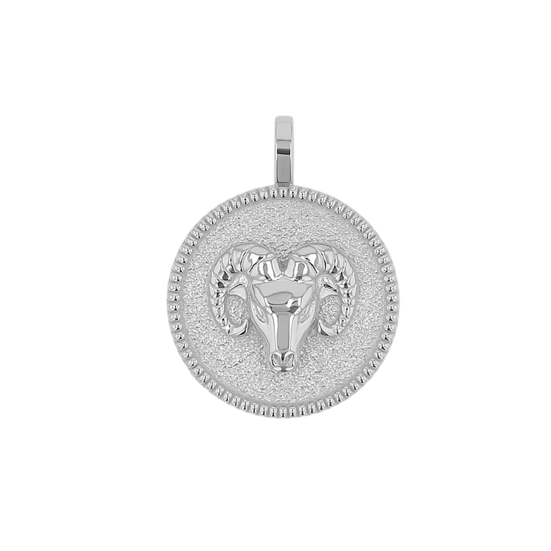 Zodiac Coin Medallion Charm