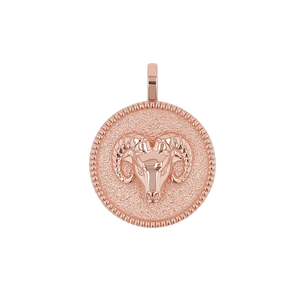 Zodiac Coin Medallion Charm