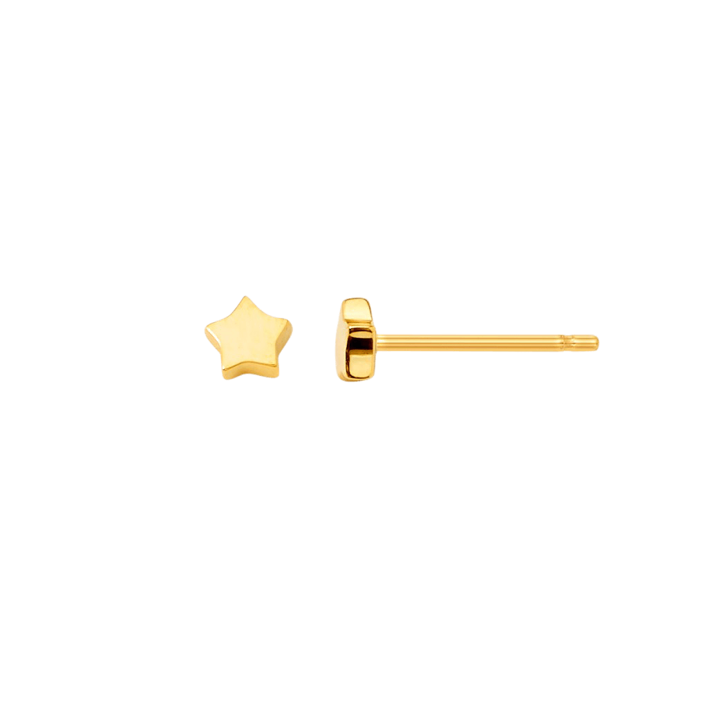 Petite Star Stud Earrings
